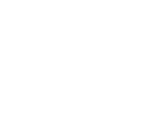 40 Anos Patricius